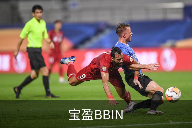 宝盈BBIN公司简介图片